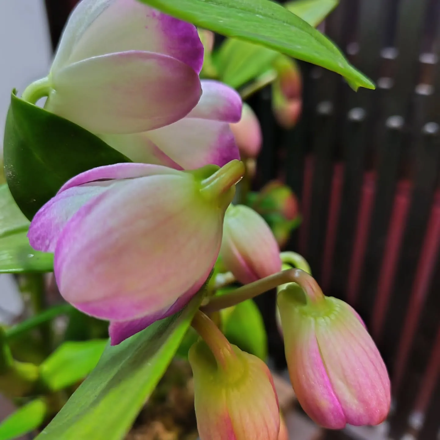 リングをペンダントに