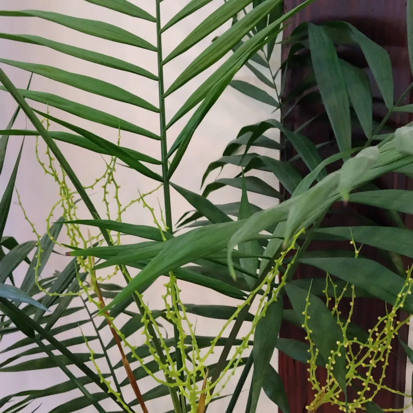 幸せなリフォーム