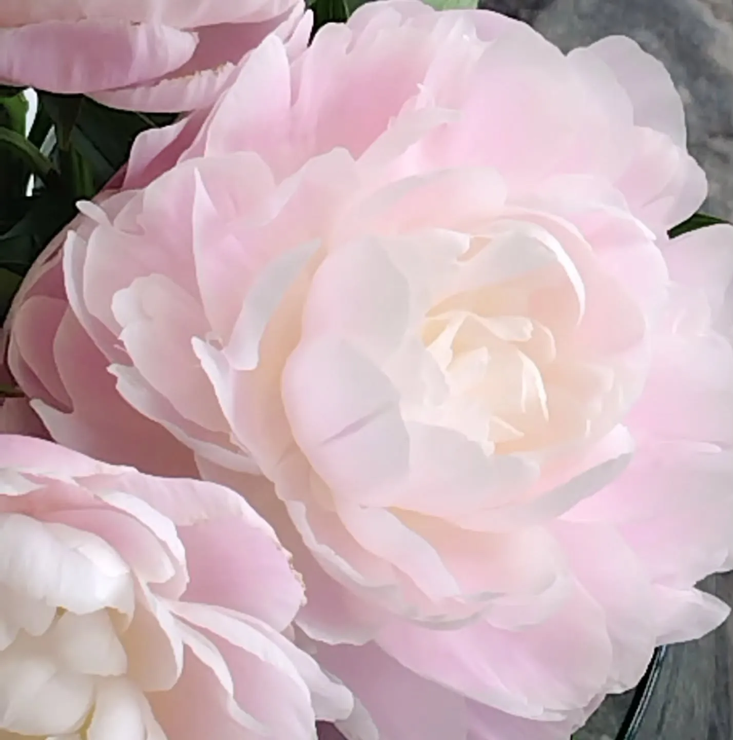 プラチナブレスレット NEW