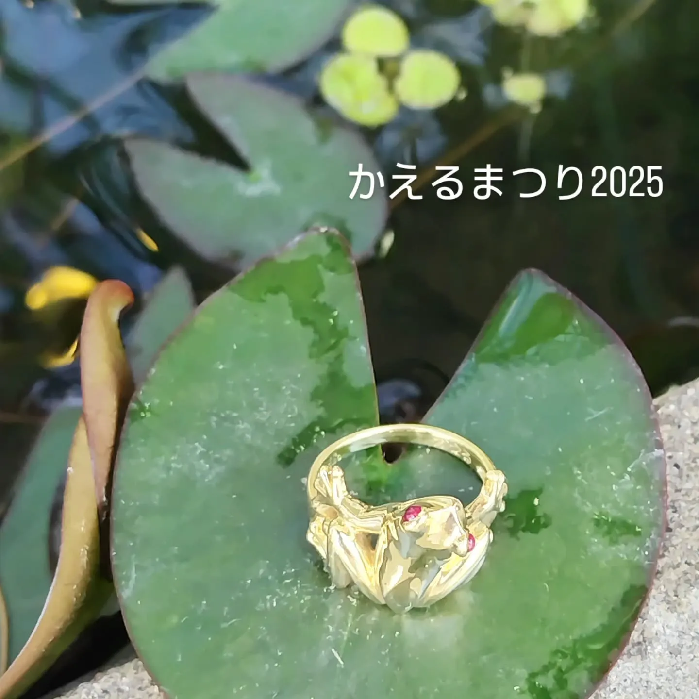 かえるまつり