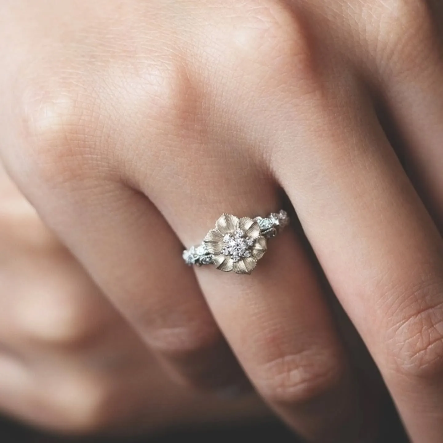 6/12(木)～15(日) AbHeri collectio...