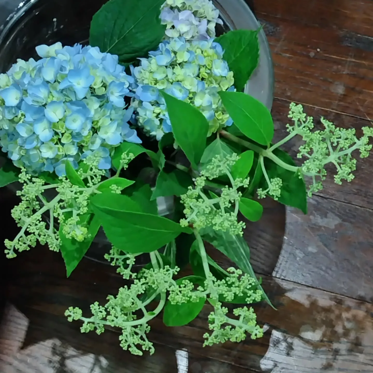 KEN・ 鶴コレクション 新作