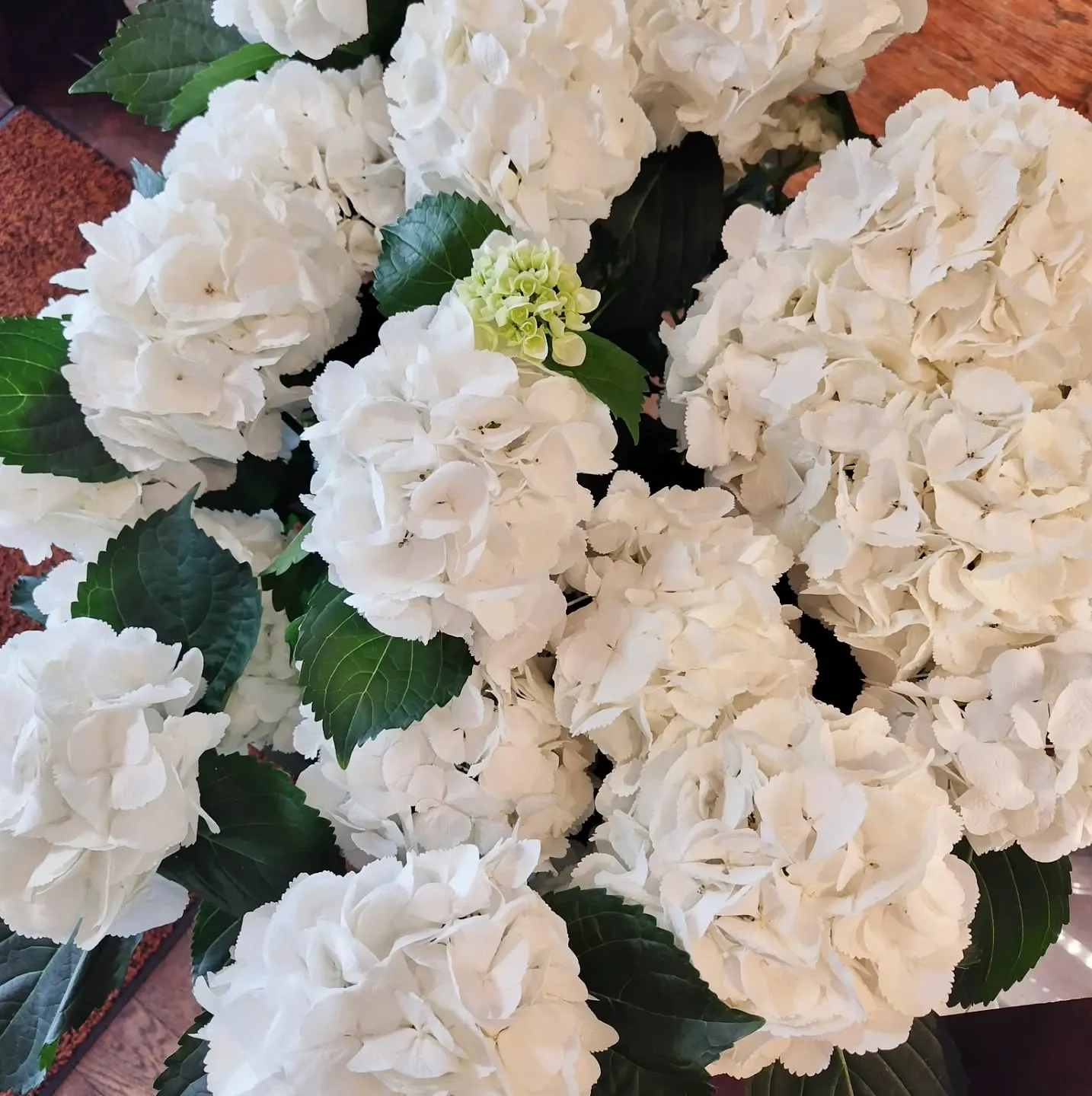 オーダーメイドリング