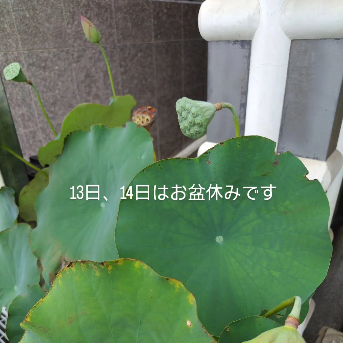 リングをネックレス