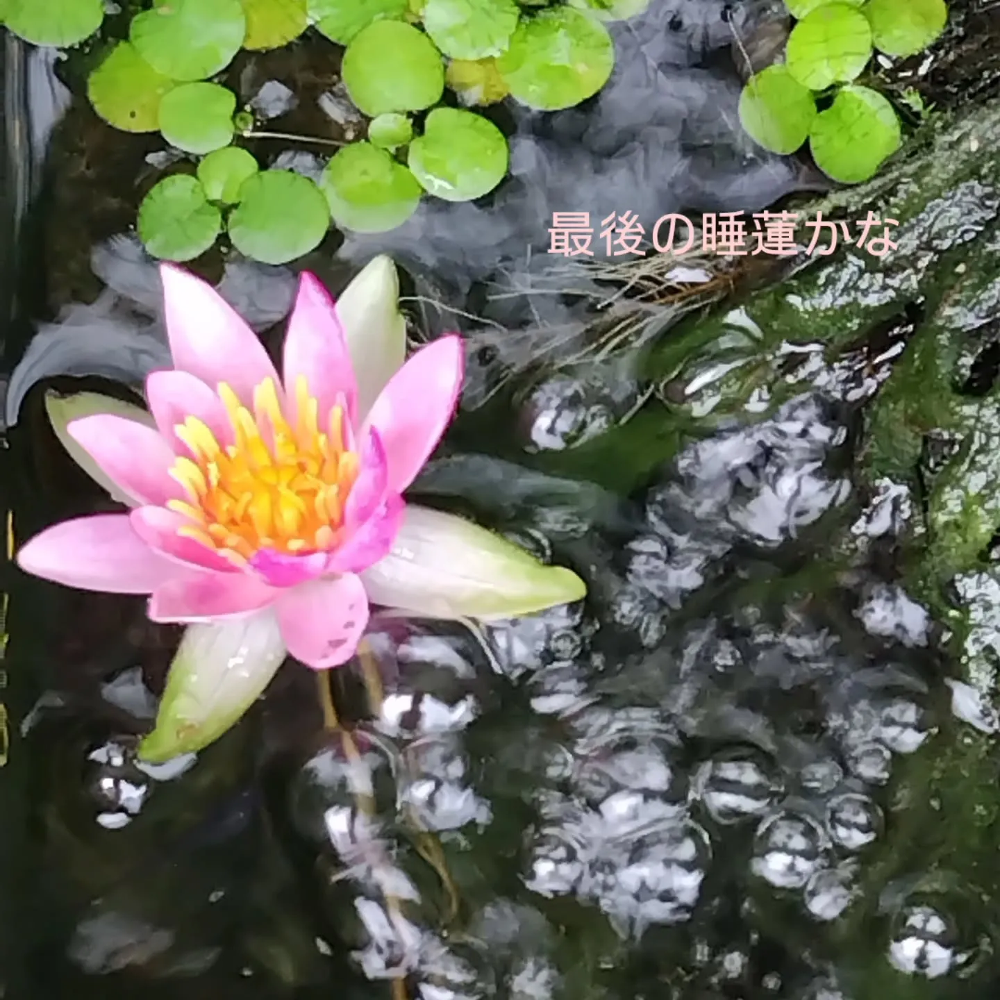 リングをペンダントに