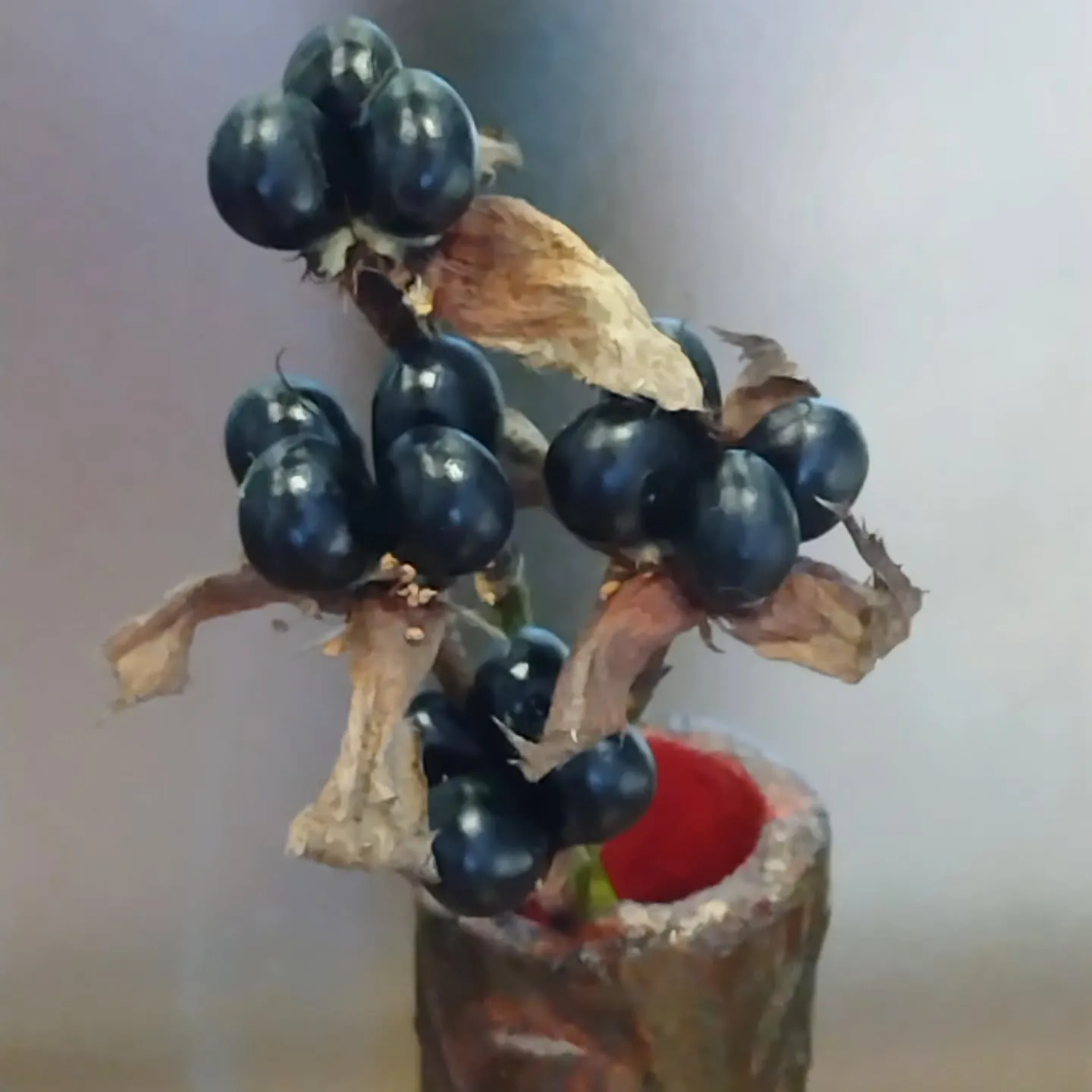 沢山ジュエリーをお持ちのお客様です