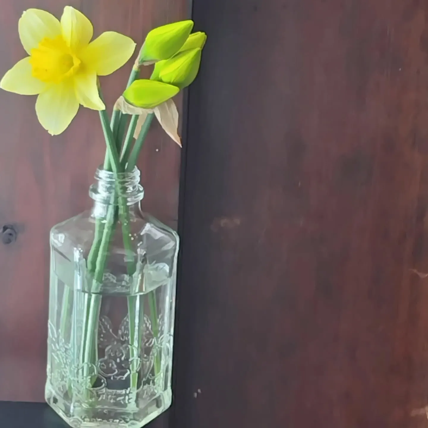 朧月夜 -しなの -