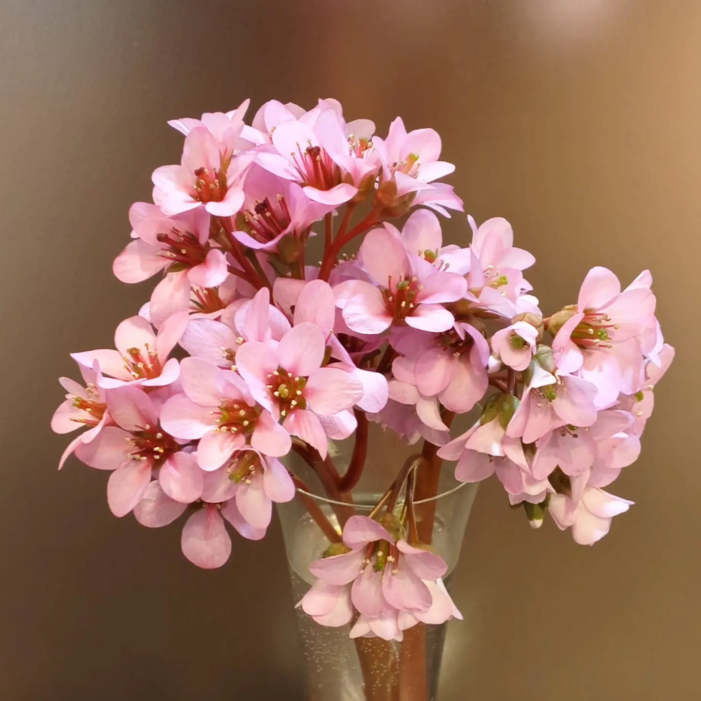 ジュエリーリフォーム