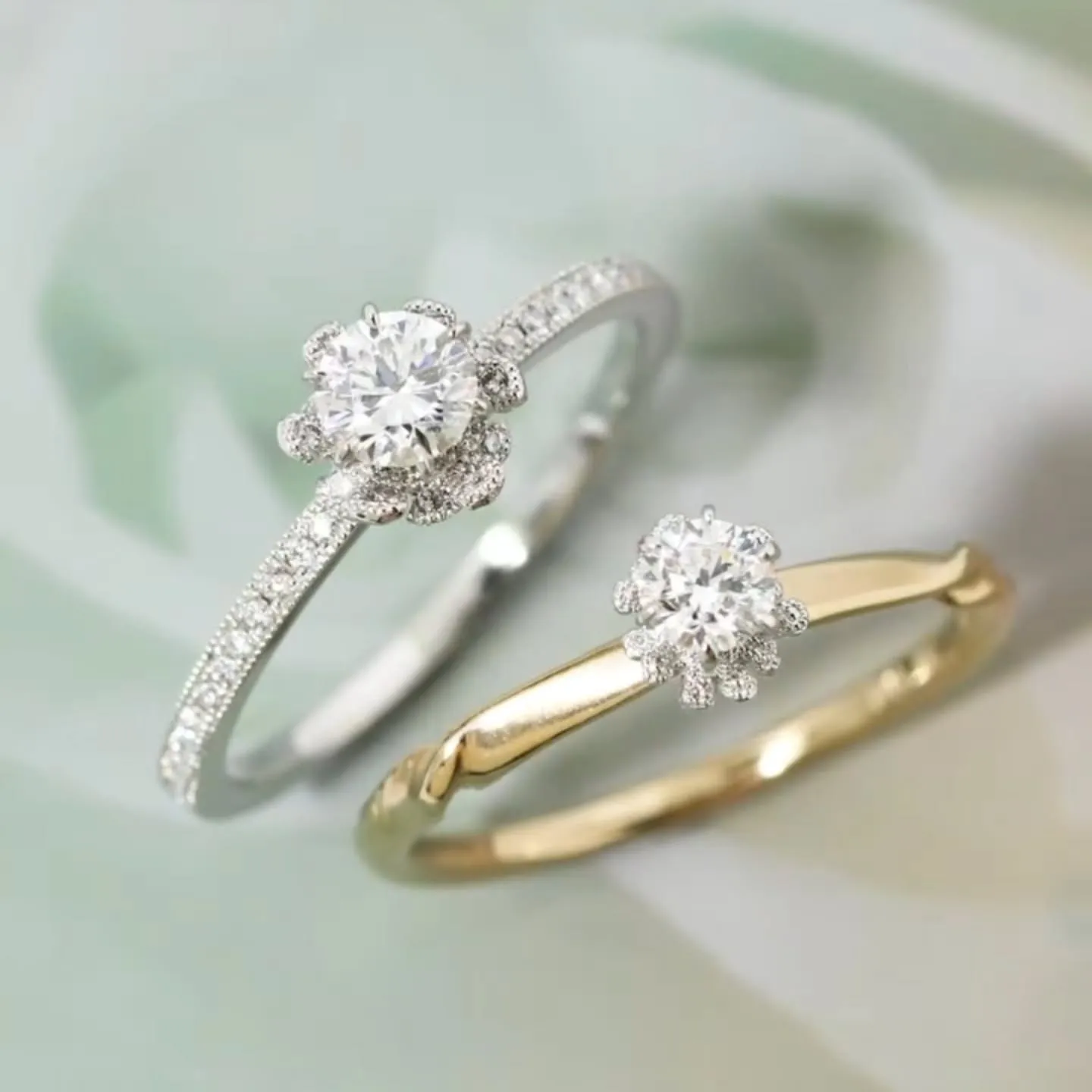 AbHeri Bridal Fair 6/1～6/30