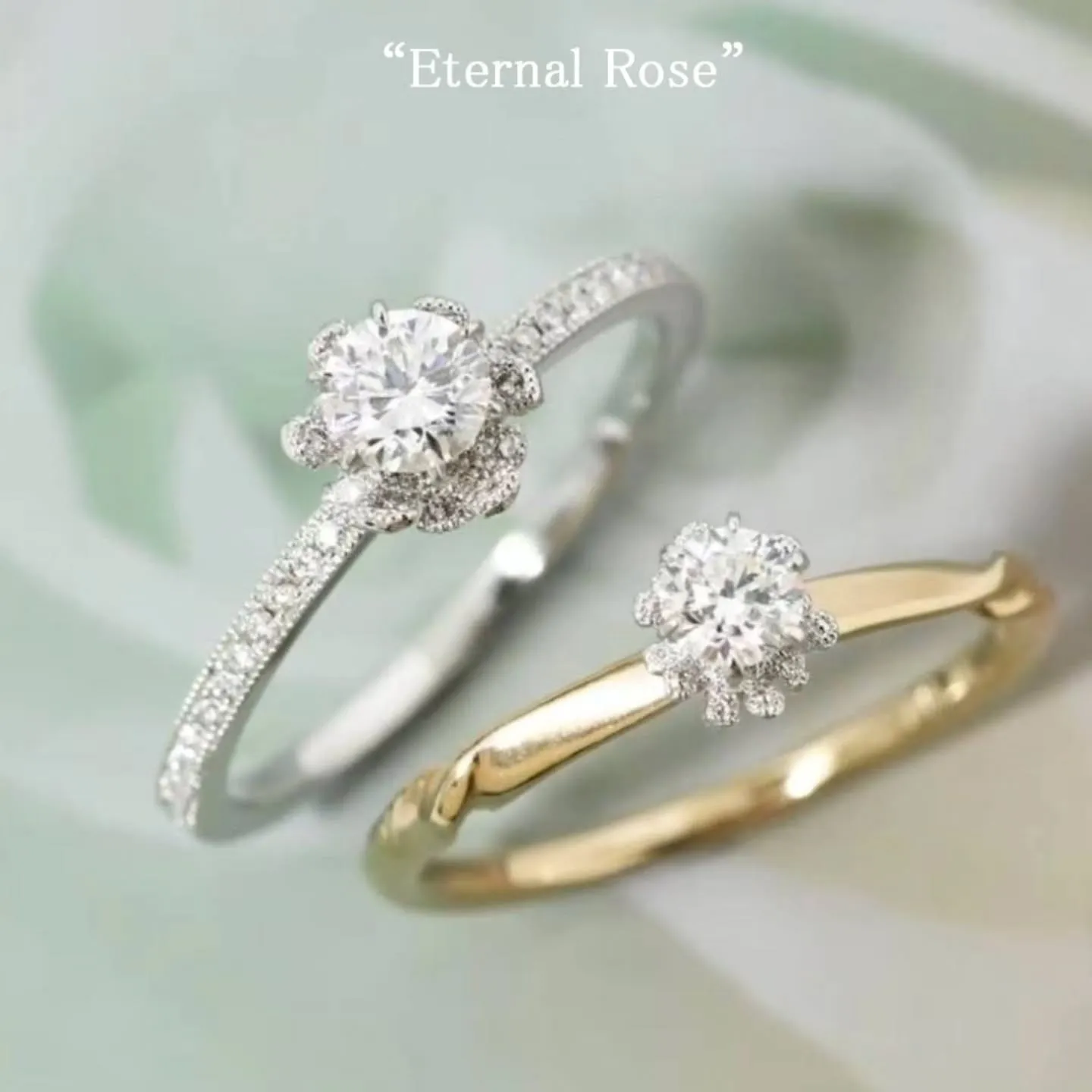 AbHeri ”eternal rose”
