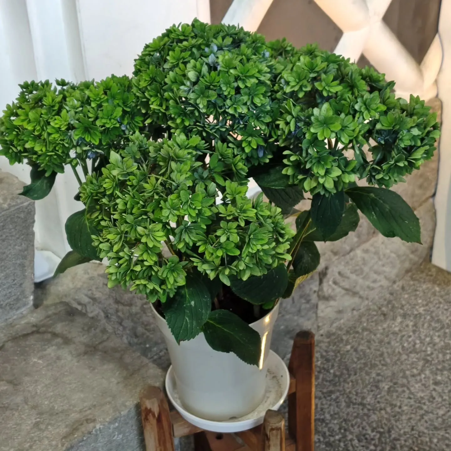 受け継ぐジュエリー