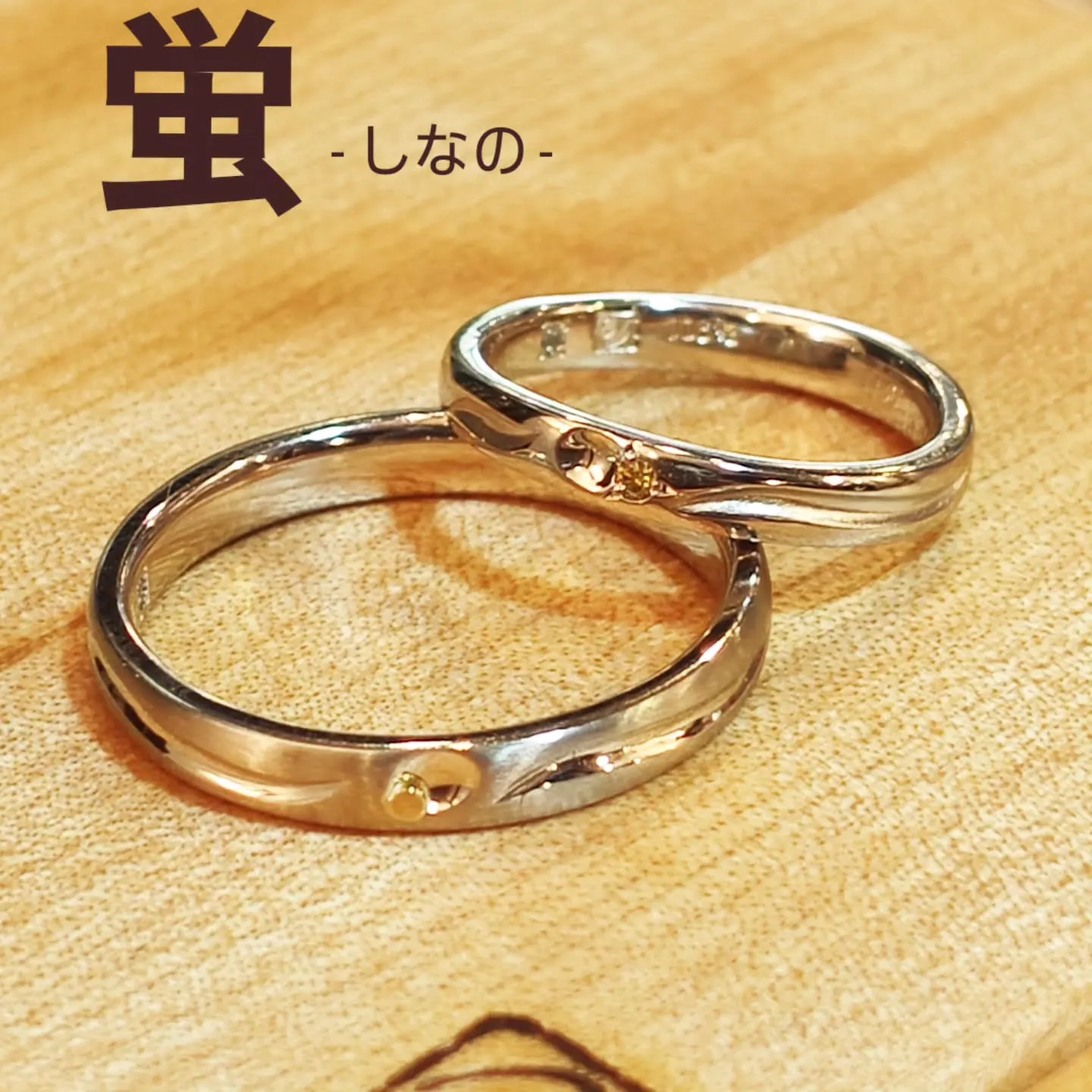 蛍 - しなの -